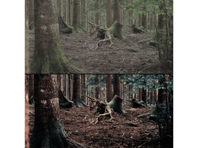 color correction
