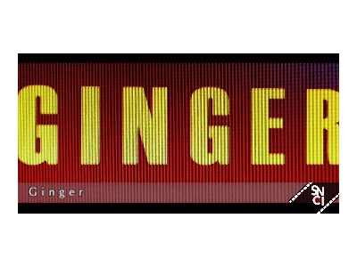 Ginger